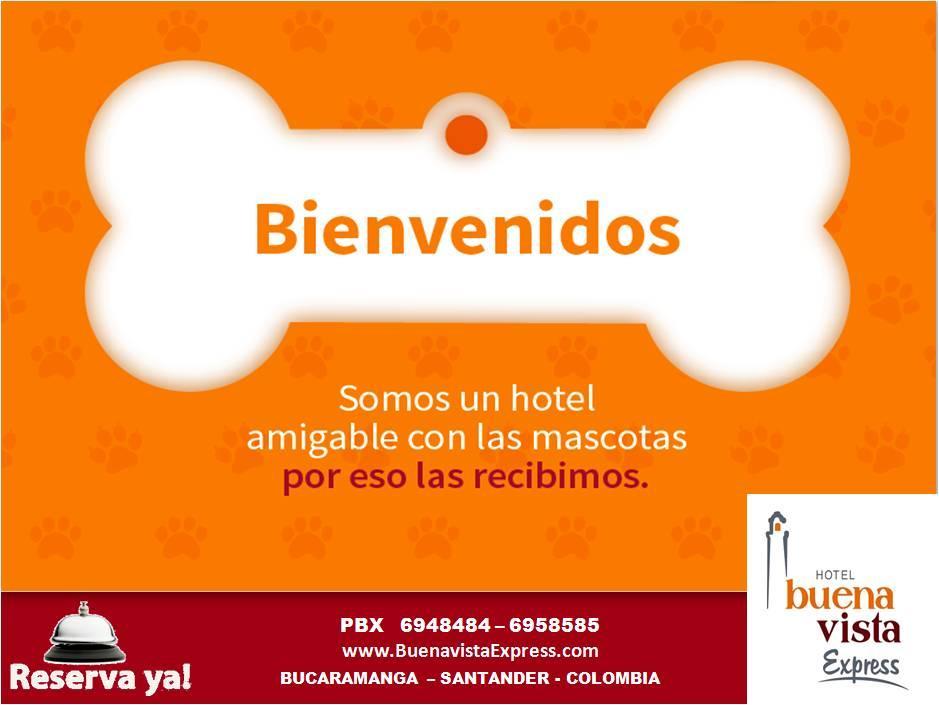 Hotel Buena Vista Express بوكارامانغا المظهر الخارجي الصورة